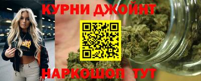 гидра Будённовск
