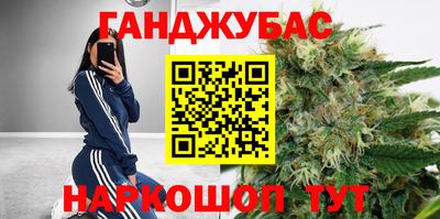 гидра Будённовск