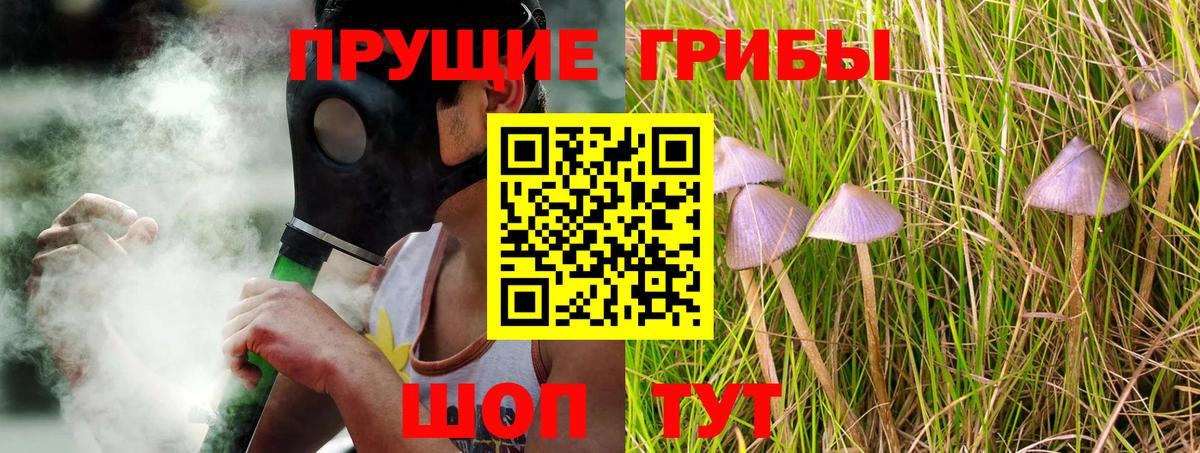 Свободный  Псилоцибиновые грибы прущие грибы  Вход с VPN  Псилоцибиновые грибы ЛСД 