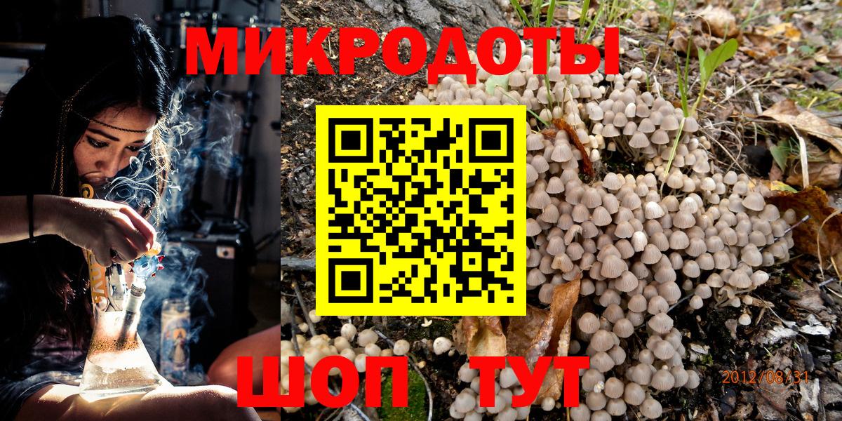Псилоцибиновые грибы прущие грибы Свободный